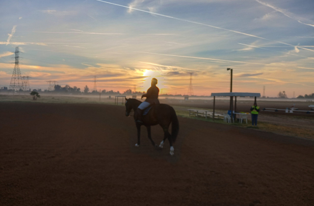 IMG_20260313_073610341_HDR